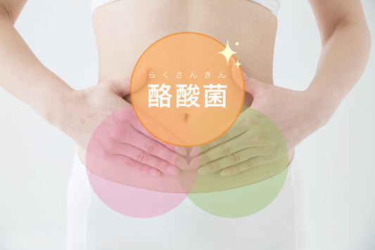 【腸内環境改善だけじゃない!】酪酸菌のすごい作用とは